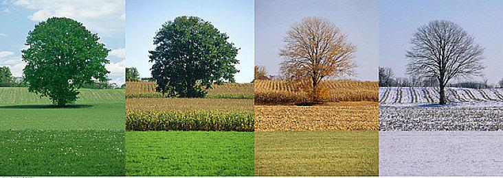 SE称《泡沫明星》包含AI艺术“仅占万分之一”